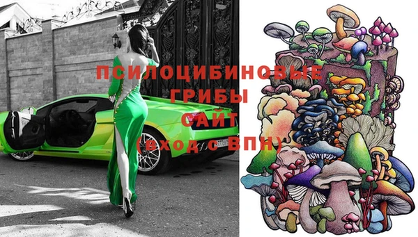 сатива Алексеевка