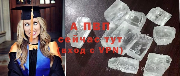 ешки Абаза